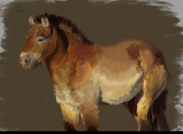 Fullbody PAINTED!!!!!